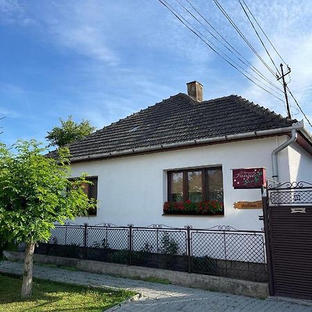 Gyongyver Panzio Sfantu Gheorghe  Exterior photo
